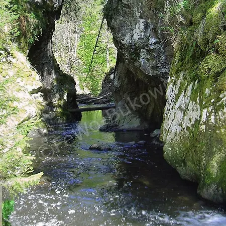 Hébergement de vacances Bukowina