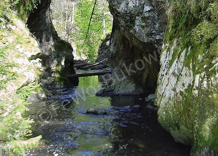 بيت للعطل Bukowina